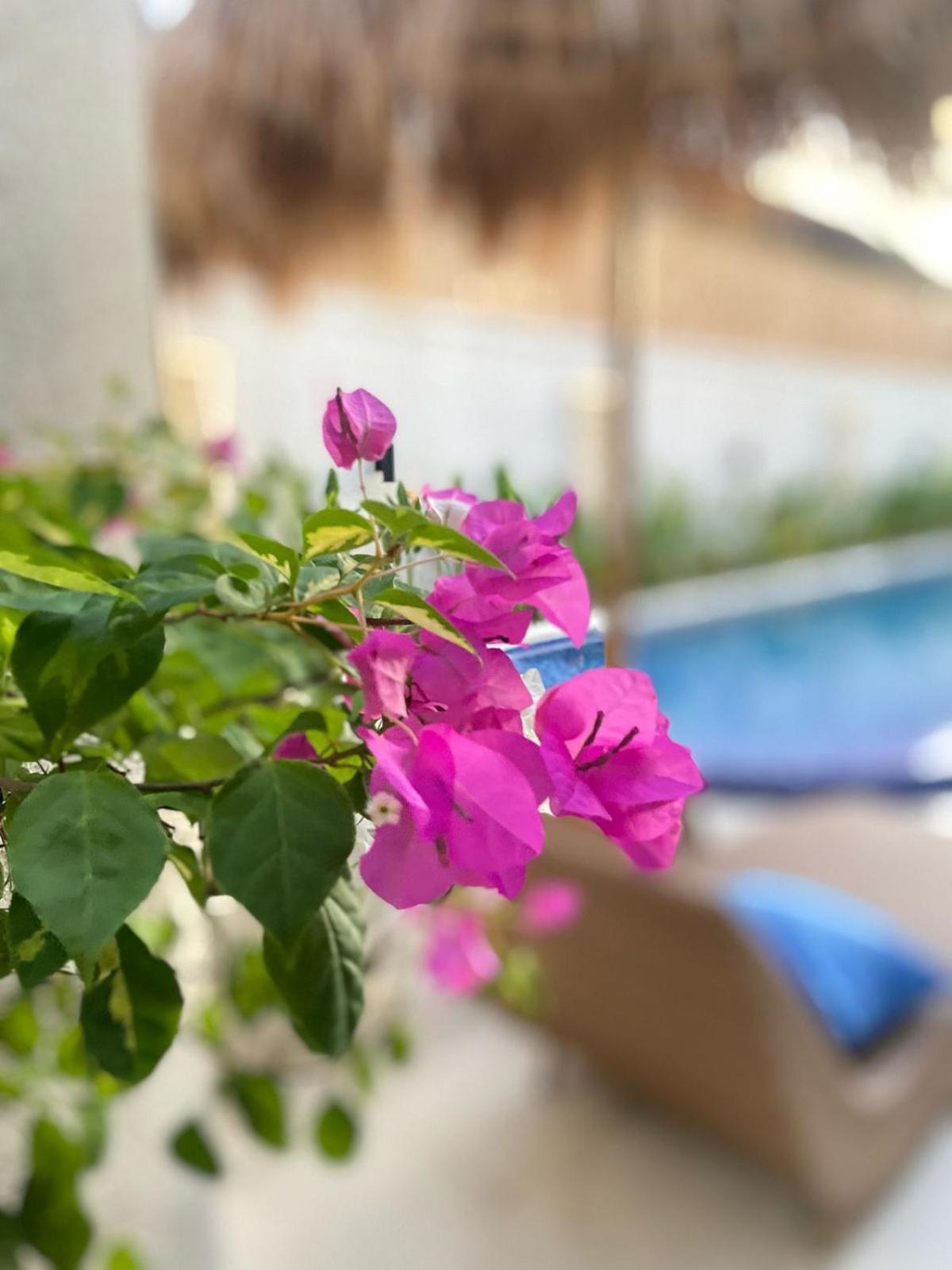 Santai 4* Nusa Dua (Bali)